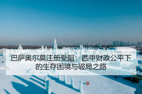 ba-sa-ao-er-mo-zhu-ce-shou-zu-xi-jia-cai-zheng-gong-ping-xia-de-sheng-cun-kun-jing-yu-po-ju-zhi-lu-2-516.jpg