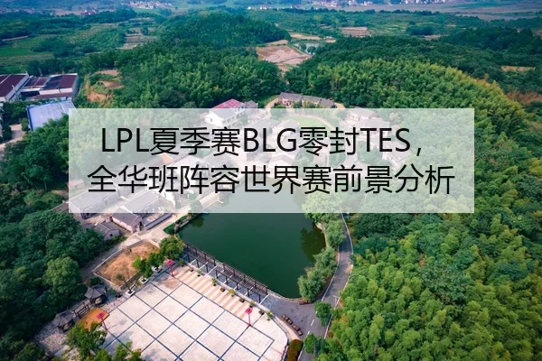 LPL夏季赛BLG零封TES，全华班阵容世界赛前景分析