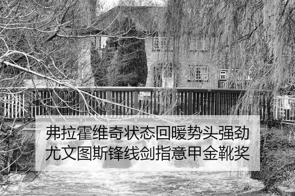 fu-la-huo-wei-qi-zhuang-tai-hui-nuan-shi-tou-qiang-jing-you-wen-tu-si-feng-xian-jian-zhi-yi-jia-jin-xue-jiang-3-746.jpg